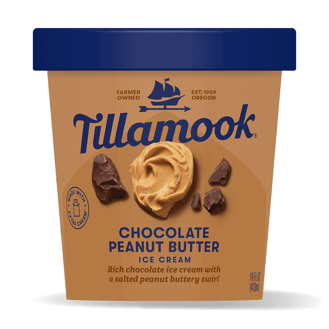 Chocolate Peanut Butter Ice Cream Pint