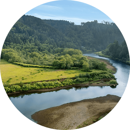 environmental action card campaign image