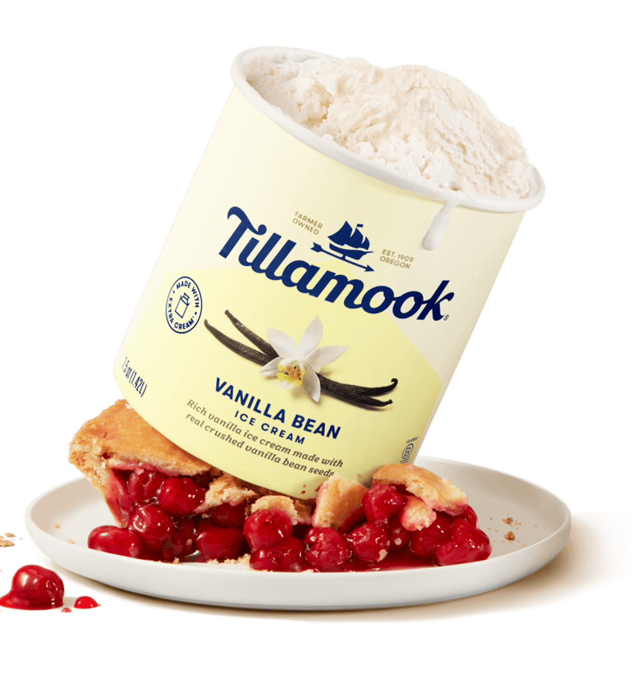 Vanilla Bean Ice cream