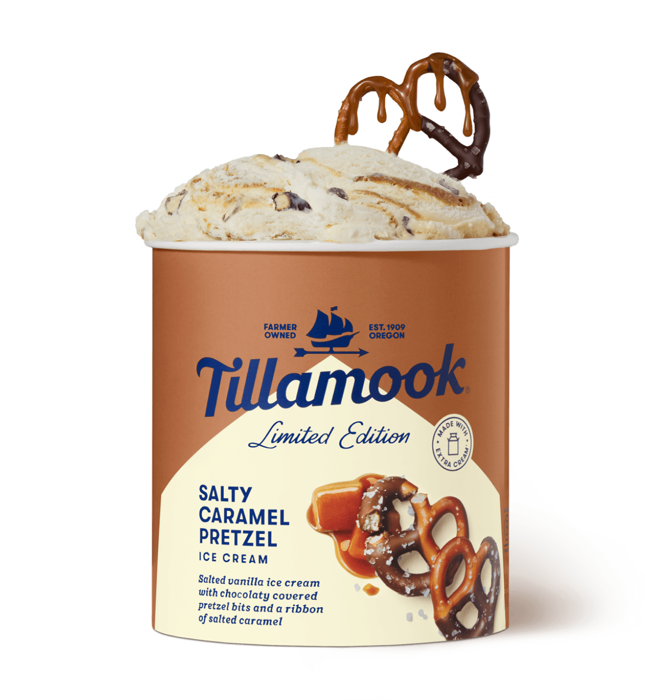 Salty Caramel Pretzel ice Cream